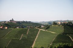 1.Langhe Monferrato Piemonte